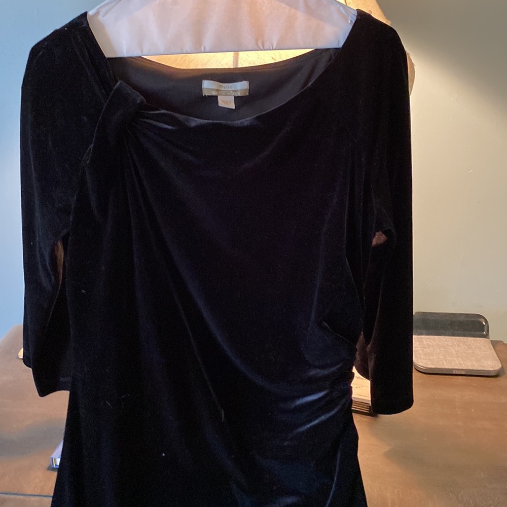 Muse velvet dress